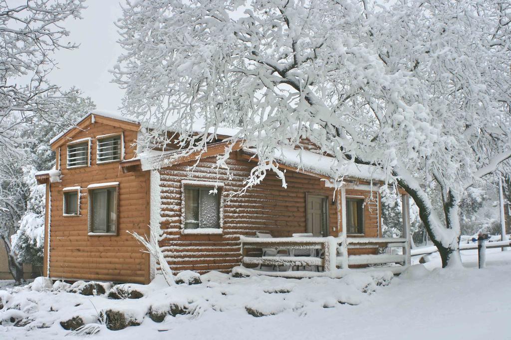 Ein Zivan Village Resort 객실 사진